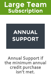 Large Team Annual Support