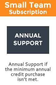 Small Team Annual Support